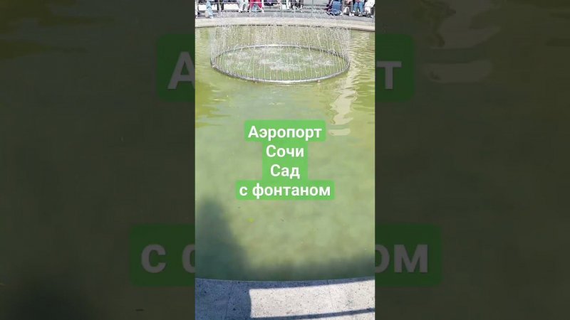 #сочи #аэропорт #садсфонтаном