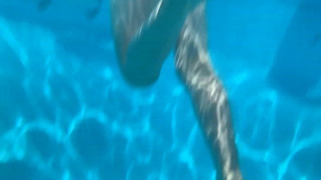 Лайк Лайк Детский Новый Челлендж видео челлендж #детскоевидео детская лайк