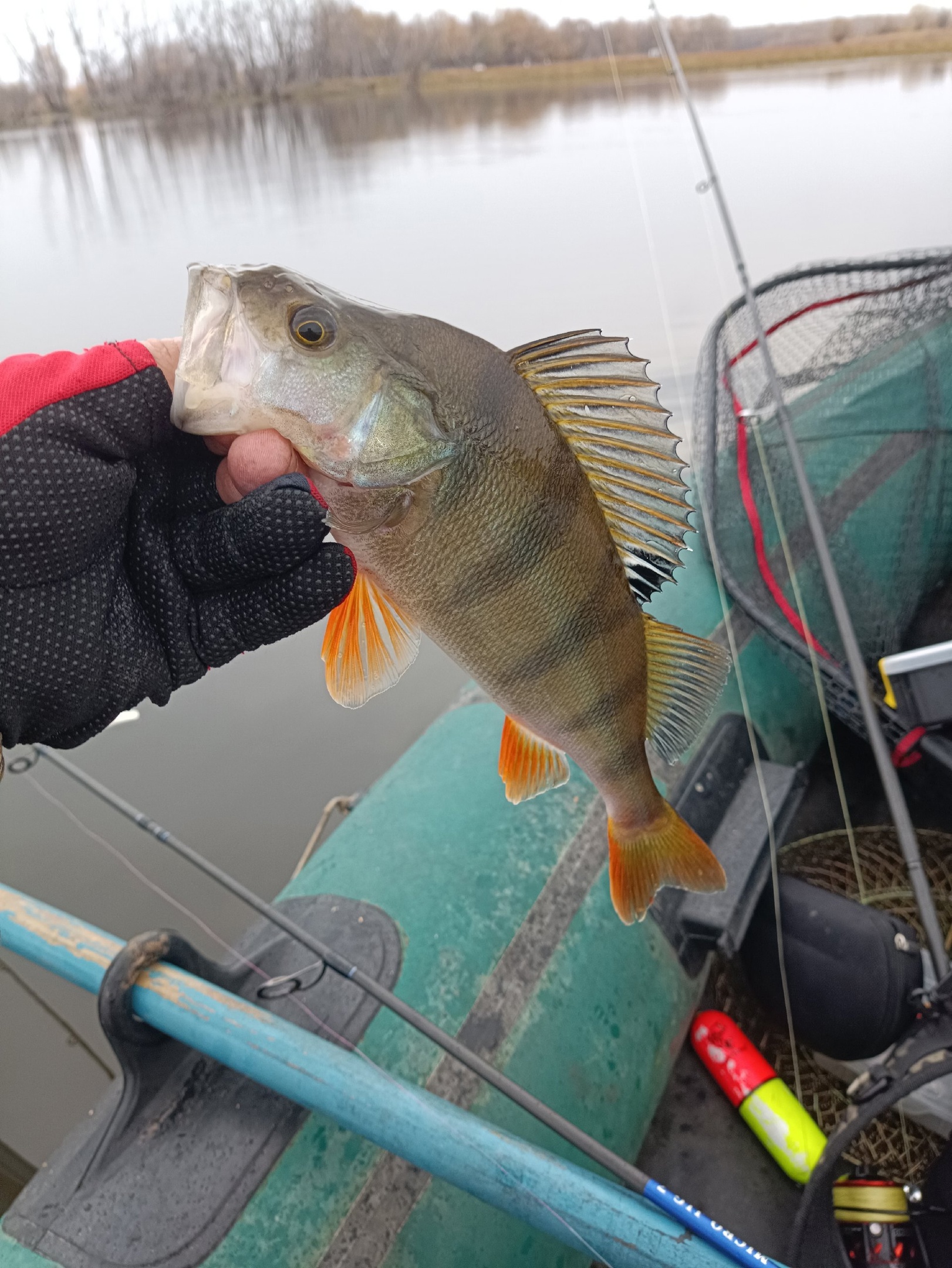 Клёв через заброс Таежное Озеро  Новый член в семье Готовимся к сезону 2024