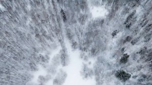 Петровский пруд зимой