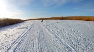 ТУРГАЙСКАЯ РЫБАЛКА, ГОЛОДНЫЕ ЩУКИ, ПОПАЛИ НА БЕЗУМНЫЙ ЖОР ЗУБАСТОЙ! РЫБАЛКА В ТОРГАЕ, КАЗАХСТАН!