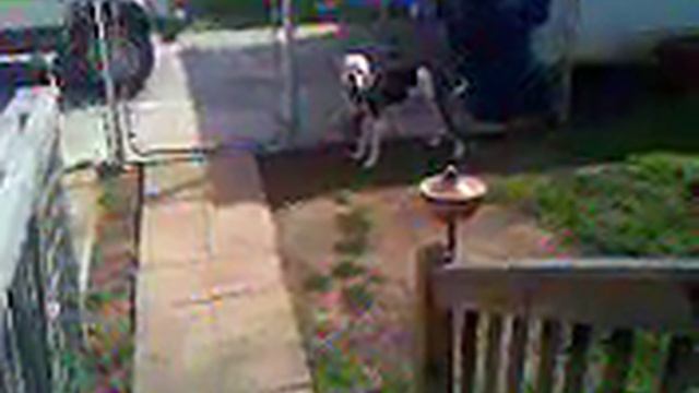 QCIF 176x144 смотреть онлайн