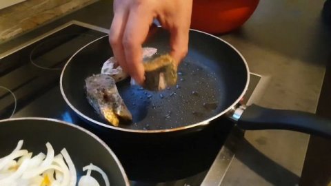 ЦАРСКАЯ ЗАЛИВНАЯ РЫБА Pangasius (Пангасиус)