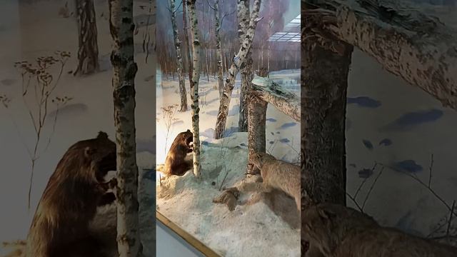 Ильменский Заповедник. Миасс. Август 2023 ч.2 смотреть онлайн