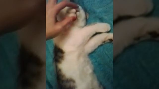 Калбаса)))