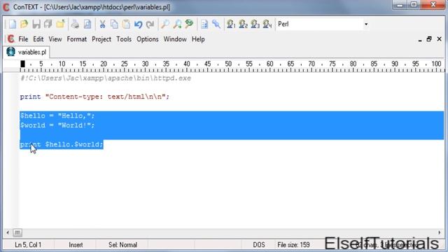 Perl Basics: Variables смотреть онлайн