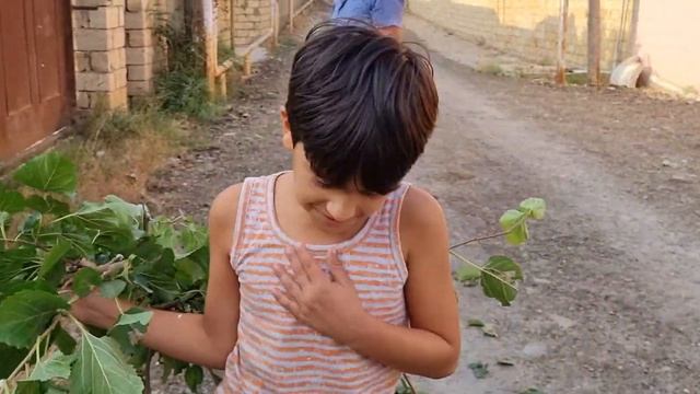 Как готовимся к осени на даче? смотреть онлайн