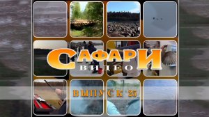 Видеоприложение №25 к журналу "Сафари"