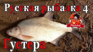Русская рыбалка 4 Густера на старом остроге Трофей Выполняю задания