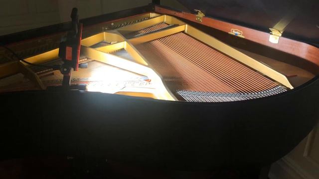 Piano string conditioning and cleaning - Educational Video смотреть онлайн