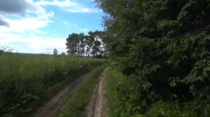 Эндуро покатушка Фурманов - Нерехта - Хромцово (Ивановская и Костромская область)