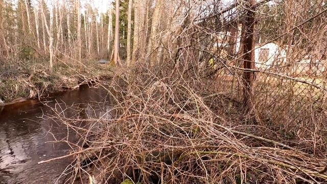 Дача мечты.Сделал компостную кучу и грядку