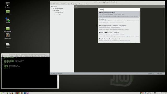 GoLang,VueJS - WebApp series [000] - Intro смотреть онлайн