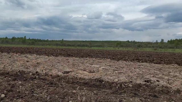 Дискование после вспашки целины. Подъем целины. Вторая обработка дикой земли. смотреть онлайн