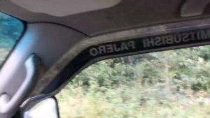 Горная дорога на дачу. Казахстан. Алматы.