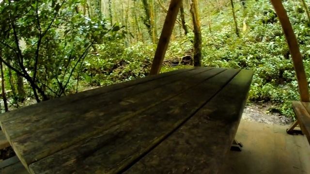 Сочи | Тисо-Самшитовая Роща | Январь смотреть онлайн