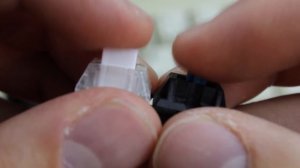 Kailh white BOX switch review (click bar)