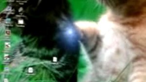 чистящий диск для дисковода