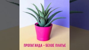 Белое платье