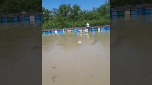 Под водой село Надзорное Кочубеевского района Ставрополья