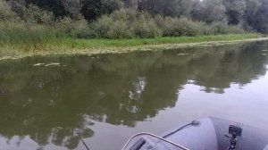 В поисках щуки. Рыбалка на реке Хопер.