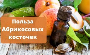 Абрикосовые косточки - всё о пользе. Защищают ли они от рака? - Результаты исследований