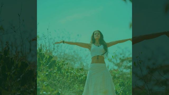 Созерцая (Медитация) смотреть онлайн