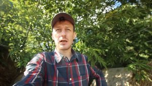 ПОЧЕМУ У КОРОВЫ ИЛИ КОЗЫ ГОРЬКОЕ МОЛОКО???