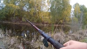 Рыбалка в Омской области. Тюкалинск 2-я Пятилетка.