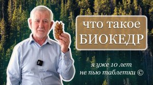 Биокедр - натуральный продукт, оптимизирующий все системы организма изнутри и снаружи.