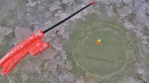 ВОТ ЭТО ОТКРЫТИЕ! !Первый лед 2020-2021. РЫБАЛКА на ОБИ