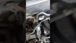 Ford Fusion (Форд Фьюжн) 1.4 дизель снятие EGR