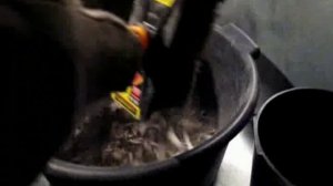 Как кремируют животных