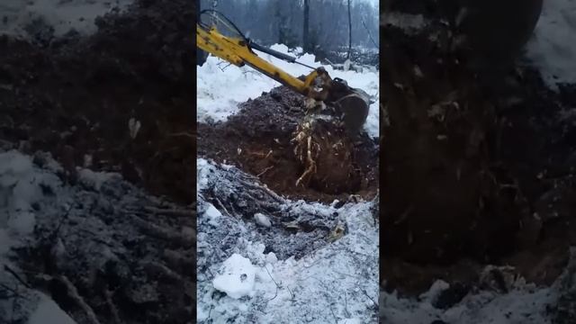 Выкорчевка пня