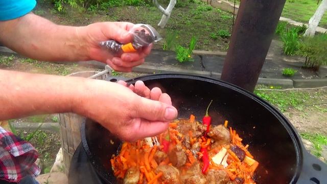 ПЛОВ противовирусный смотреть онлайн