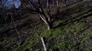 самодельный чёрный порох испытания