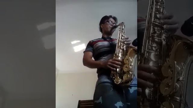 Despacito Sang alto sax pratice