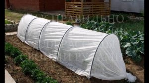 ПАРНИК или ТЕПЛИЦА??? Парник своими руками!!!