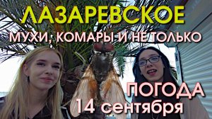 Лазареввское ул. Победы 14 сентября,  Лазаревское сегодня, Лазаревское влог, Лазаревское обзор