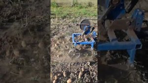 На трёх колёсах копка картошки минитрактором Русич Т-12