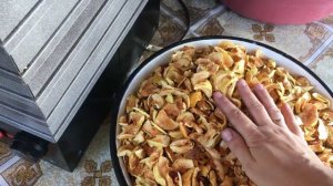 Как правильно сушить яблоки в сушилке.