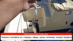 Рыбалка Коктебель отдых в Коктебеле у самого моря