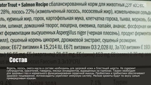 Обзор корма GO! Sensitivity + Shine Freshwater Trout & Salmon Cat Recipe