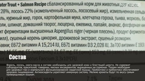 Обзор корма GO! Sensitivity + Shine Freshwater Trout & Salmon Cat Recipe