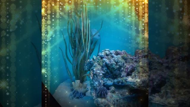 Красивые фото рыб.!!!!  Классная подборка!!!! смотреть онлайн