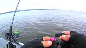 В ПОИСКАХ ХИЩНИКА . Ловля спиннингом с лодки на Волге