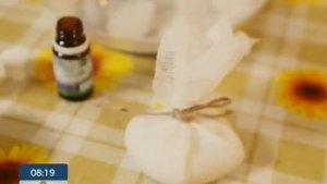 Как избавиться от моли в вашем доме?