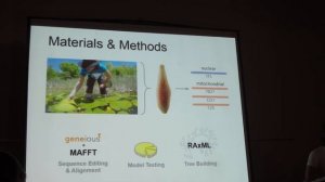 de Carle:First Phylogeny of the Leech Genus Placobdella (Hirudinea: Glossiphoniia)