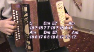 А за окном зима метёт февраль ( гармонь )