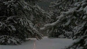 Костер на снегу в зимнем лесу - искры, звуки вьюги, метели. Для медитации. Для сна. Релакс. ASMR